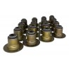 GOMA DE VALVULA NEON 2.0L 95-05 (JGO 16 PZAS) (RUSHMORE)
