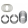 ANILLOS STD FIESTA BALITA 1.3 (BECO)