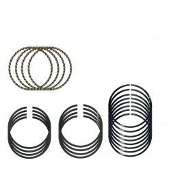 ANILLOS 0.20 (0.60 DECIMAS) FIAT PALIO 16V 1.6 (EBITEN)