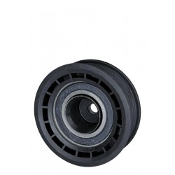 POLEA LOCA TENSOR CORREA UNICA CORSA 1.3 1.4 1.6 96-06/MERIVA/MONTANA 1,8 (ACANALADA) TE-NY9049238