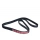 CORREA UNICA JEEP CHEROKEE WK 4.7 (6PK2255) (EPIC)