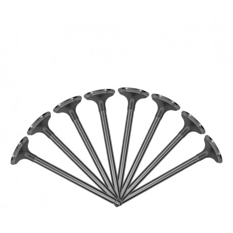 VALVULA AVEO 1.6 ADMISION (GM) (96896007) (6MM VASTAGO, LARGO 102MM, ASIENTO 28.5MM)
