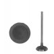 VALVULA MAZDA 3 2.0/MAZDA 6 2.3/ECOSPORT 2.0/FOCUS DURATEC 2.0/RANGER 2.3 ADMISION (MAZDA)(LF01-12-111) (5.5MM VASTAGO, LARGO 10