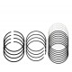 ANILLOS 0.10 SENTRA B13/14(NPR)