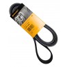 CORREA UNICA FIESTA BALITA/POWER/MAX/MOVE/KA/ECOSPORT 1.6 2.0 (CON AIRE ACONDICIONADO) (6PK2250) (CONTINENTAL)