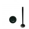 VALVULA TERIOS 1.3 1.5 ESCAPE (TOYOTA) (5MM VASTAGO, LARGO 89MM, ASIENTO 22.5MM)