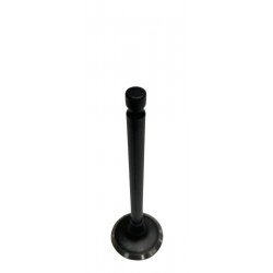 VALVULA ACCENT 1.6/GETZ 1.6/ELANTRA 1.6/KIA RIO 1.6 CVVT ADMISION (CAP)