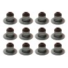 GOMA DE VALVULA JEEP CHEROKEE LIBERTY 3.7 02-15 PAQ 12 (AMERICAN PARTS)