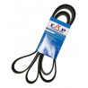 CORREA UNICA SUPER DUTY/TRITON 5.4 (6PK2536) (CAP)(GATES)