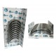 CONCHA BANCADA 0.30 TERIOS 1SZ-K3 1.3L 02-07 (CON CUÑA)(RUSHMORE)