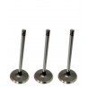 VALVULA JEEP CHEROKEE KK / LIBERTY 3.7 LTS (ESCAPE) (TRW) (7MM VASTAGO, LARGO 115MM, ASIENTO 37MM)