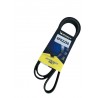 CORREA UNICA FIESTA BALITA/POWER/MAX/MOVE/KA/ECOSPORT 1.6 2.0 (CON AIRE ACONDICIONADO) (6PK2250) (MICHELIN)