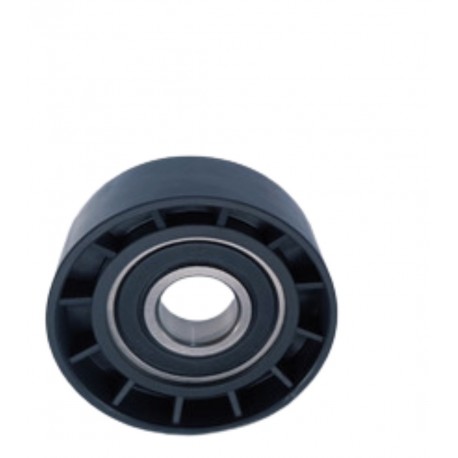 POLEA CORREA UNICA LOGAN/CLIO/SYMBOL/MEGANE CLASSIC/KANGOO/SCENIC/LAGUNA 1.6/SANDERO (CAP) (LISA PLASTICA ) (17MM DIAMETRO INTER