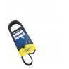 CORREA UNICA COROLLA IRANI IMPORTADO 15-20 6PK929 (MICHELIN)
