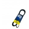 CORREA UNICA TERIOS BEGO 1.5 6PK1880 (BETTERLINE)