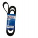 CORREA UNICA CIVIC EMOTION 1.8 07-09 AMERICANO ( 7PK2170) (CAP)