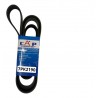CORREA UNICA CIVIC EMOTION 1.8 07-09 BRASILEÑO (7PK2190) (CAP)