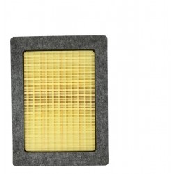 FILTRO AIRE MOTOR FORD F-150, F-250 5 (COOL)